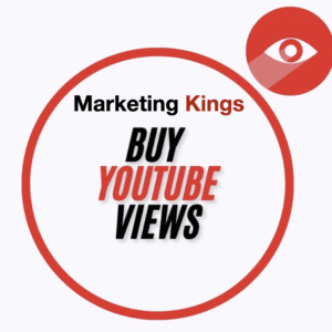 Pro Plan - Get 100,000 youtube video views through google ads Organic